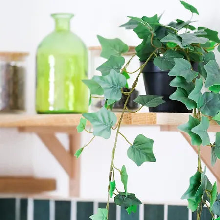 Superbe Maison Renovee Avec Piscine D'olonne - 8 Personnes Prázdninový dům