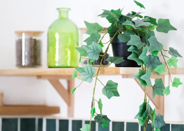 Superbe Maison Renovee Avec Piscine D'olonne - 8 Personnes Nyaraló